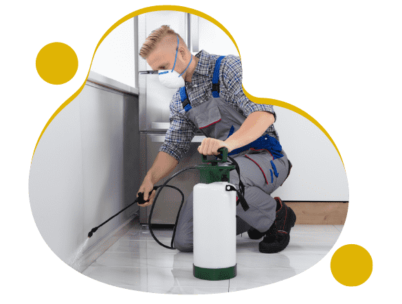 Expert Pest Control Service